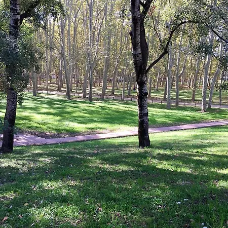 Piso Céntrico De 100 M2 Apartamento Gerona