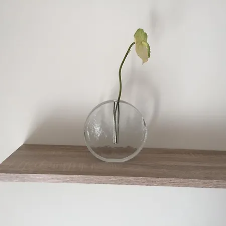 Piso Céntrico De 100 M2 *